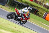 Oulton-Park-14th-March-2020;PJ-Motorsport-Photography-2020;anglesey;brands-hatch;cadwell-park;croft;donington-park;enduro-digital-images;event-digital-images;eventdigitalimages;mallory;no-limits;oulton-park;peter-wileman-photography;racing-digital-images;silverstone;snetterton;trackday-digital-images;trackday-photos;vmcc-banbury-run;welsh-2-day-enduro